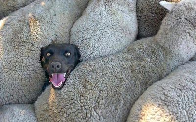 Imposter Syndrome: Understanding and Managing It